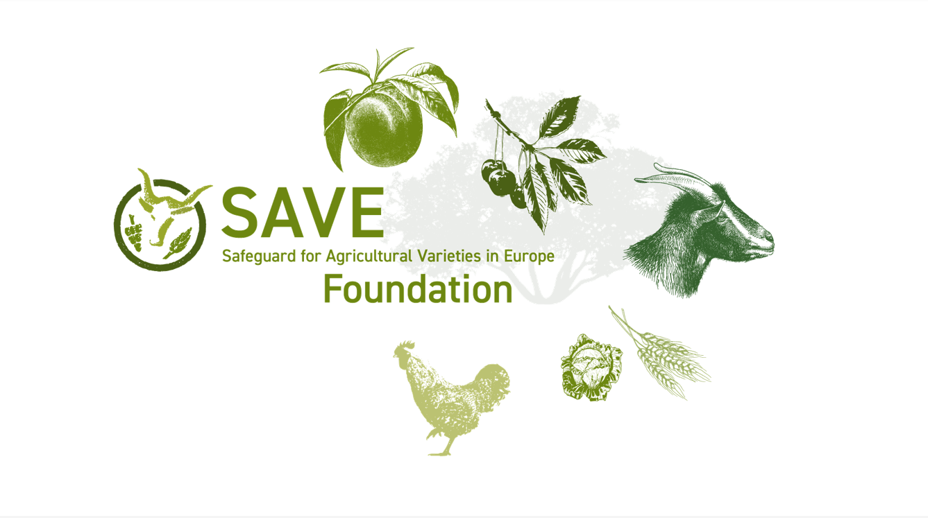 Europese SAVE Foundation stelt: rol van kleine slachthuizen cruciaal ...